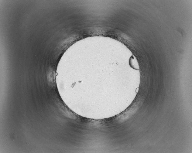 X0000111370624200908211319