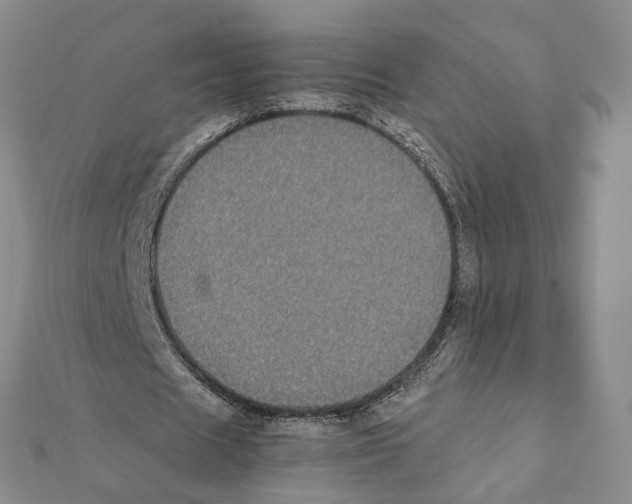 X0000111370625200908211319
