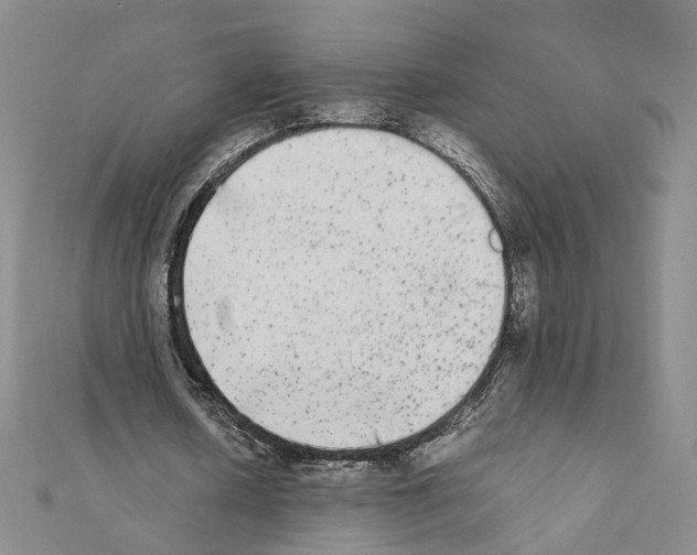 X0000111370626200908211319