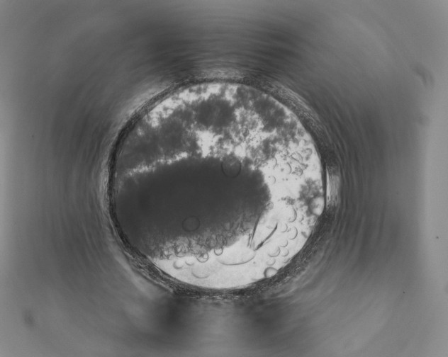 X0000111370627200908211319