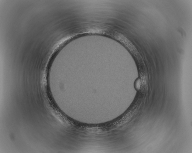 X0000111370628200908211319