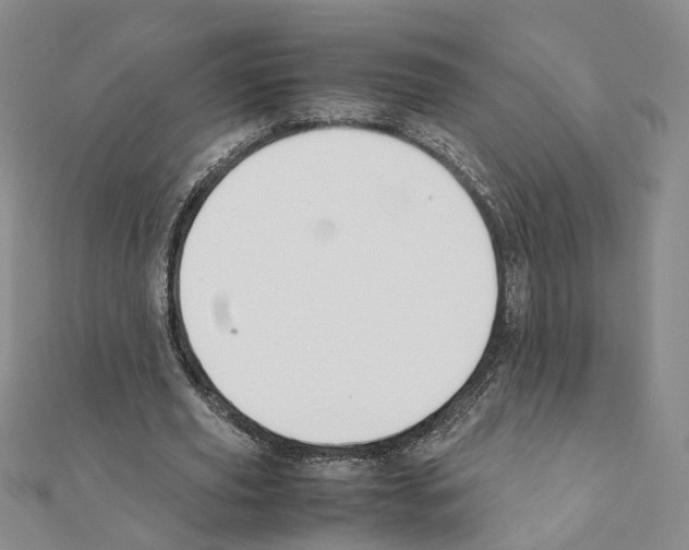 X0000111370629200908211319