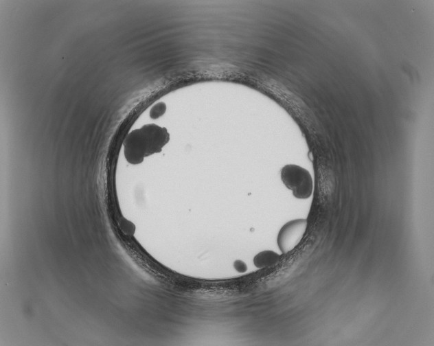 X0000111370630200908211319