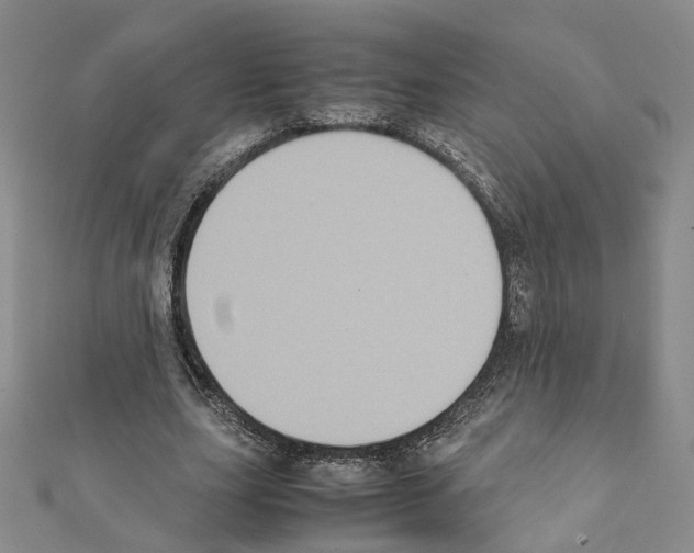 X0000111370631200908211319