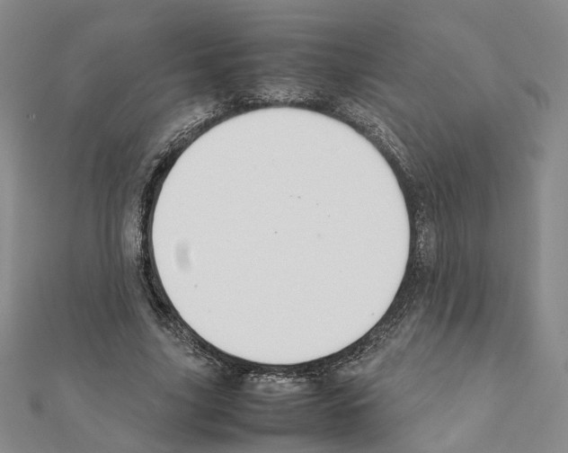 X0000111370635200908211319