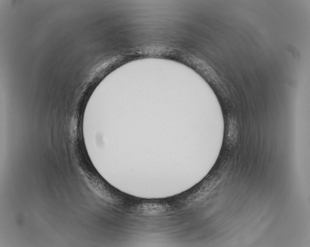 X0000111370636200908211319
