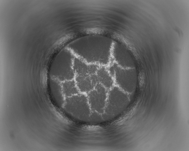 X0000111370637200908211319