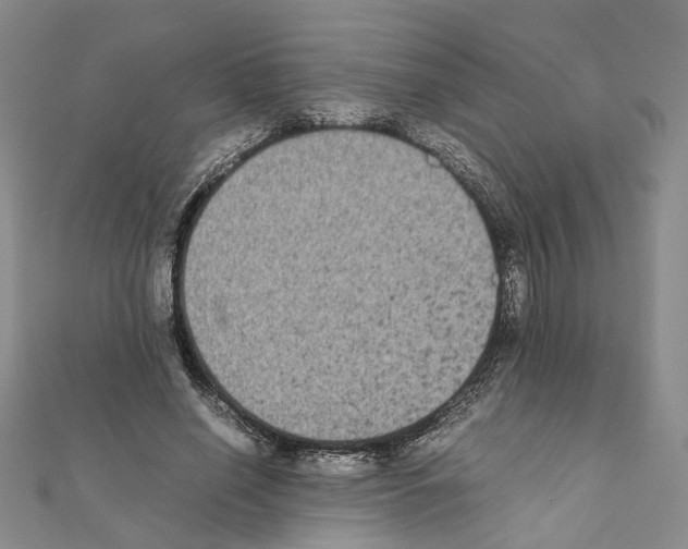 X0000111370638200908211319
