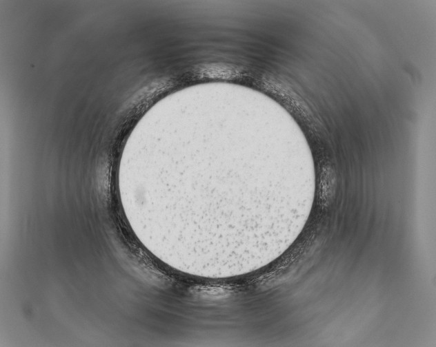X0000111370639200908211319