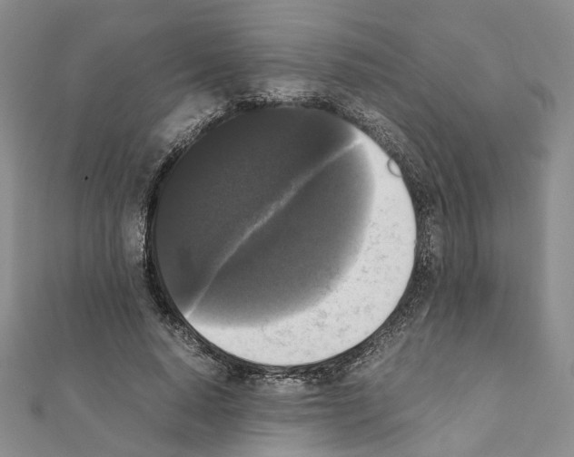 X0000111370640200908211319