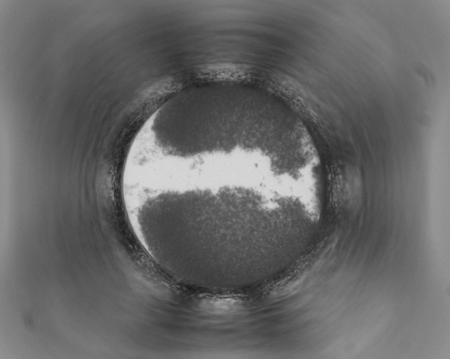 X0000111370643200908211319
