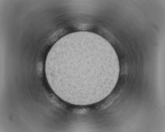 X0000111370646200908211319