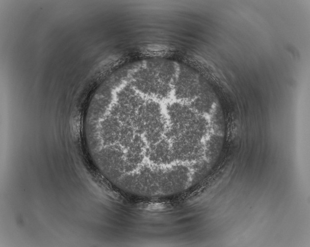 X0000111370647200908211319
