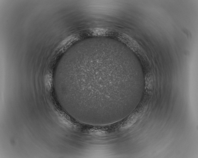 X0000111370648200908211319