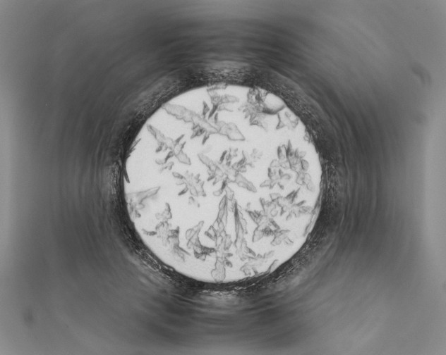 X0000111370649200908211319
