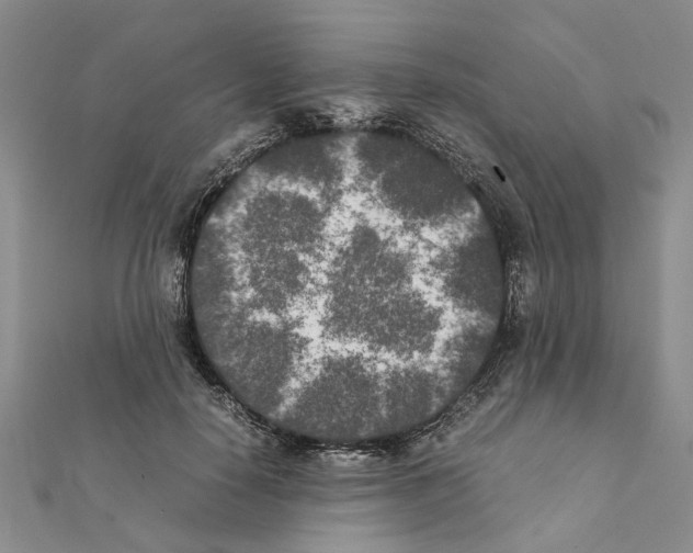 X0000111370650200908211319