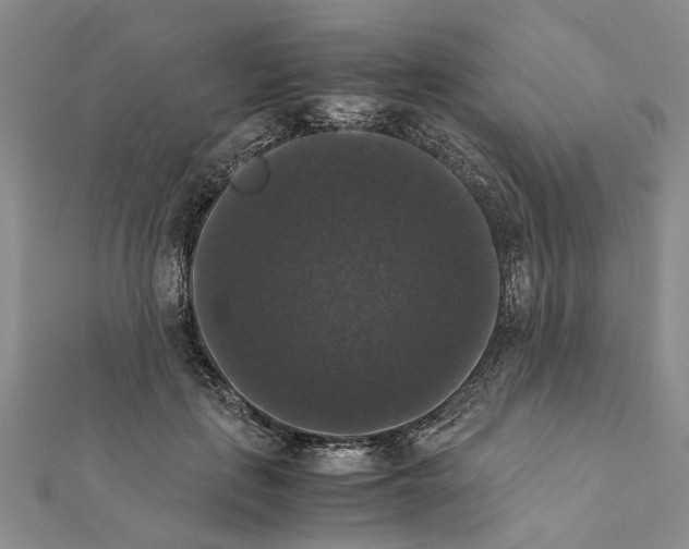 X0000111370651200908211319