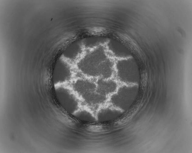 X0000111370653200908211319