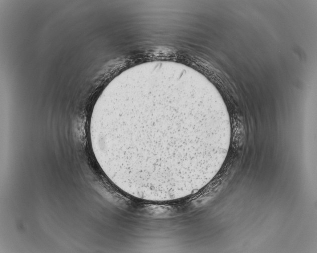 X0000111370654200908211319
