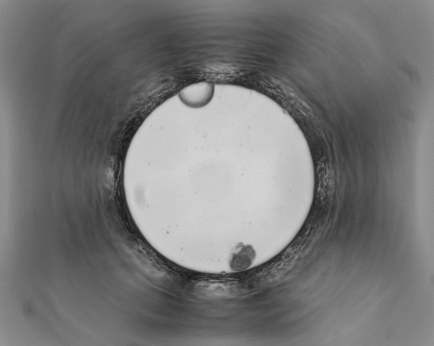 X0000111370655200908211319