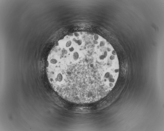 X0000111370657200908211319