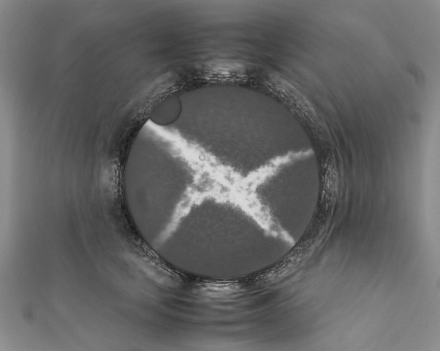 X0000111370659200908211319