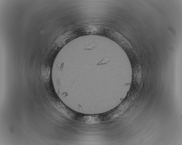 X0000111370660200908211319