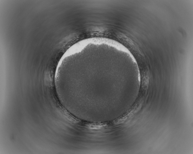 X0000111370661200908211319