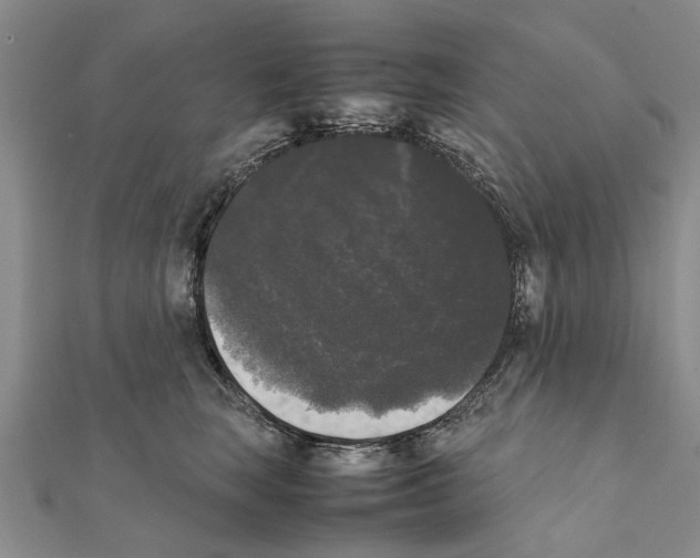 X0000111370663200908211319