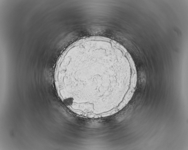 X0000111370664200908211319