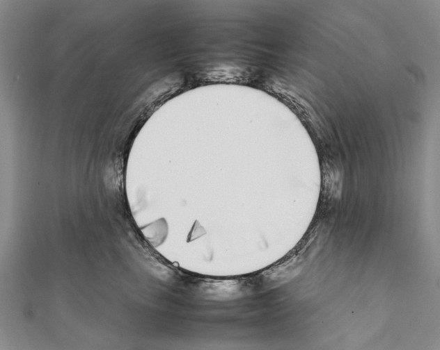 X0000111370665200908211319
