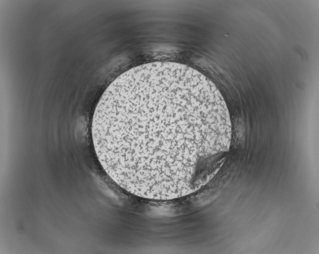 X0000111370667200908211319