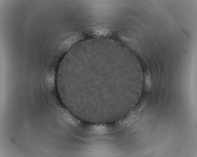 X0000111370668200908211319