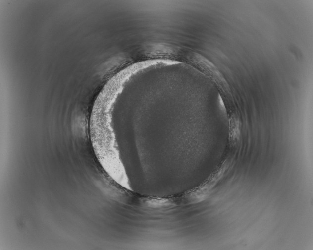 X0000111370669200908211319
