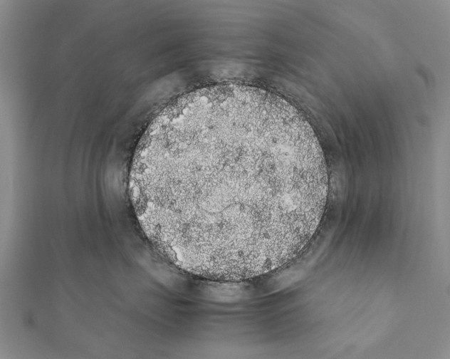X0000111370671200908211319