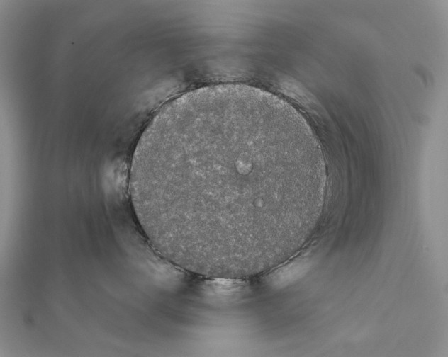 X0000111370672200908211319