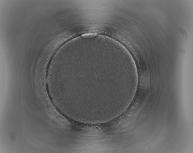 X0000111370673200908211319