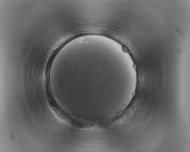 X0000111370674200908211319