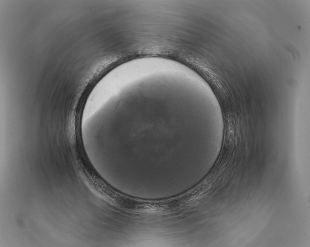X0000111370678200908211319