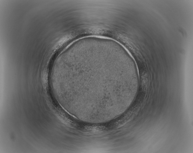X0000111370679200908211319