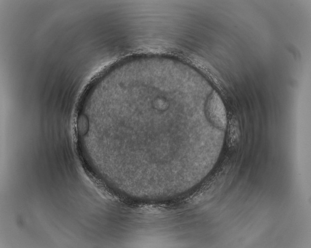 X0000111370680200908211319