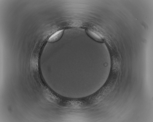 X0000111370681200908211319