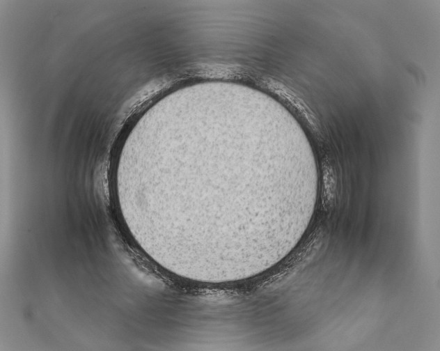 X0000111370682200908211319