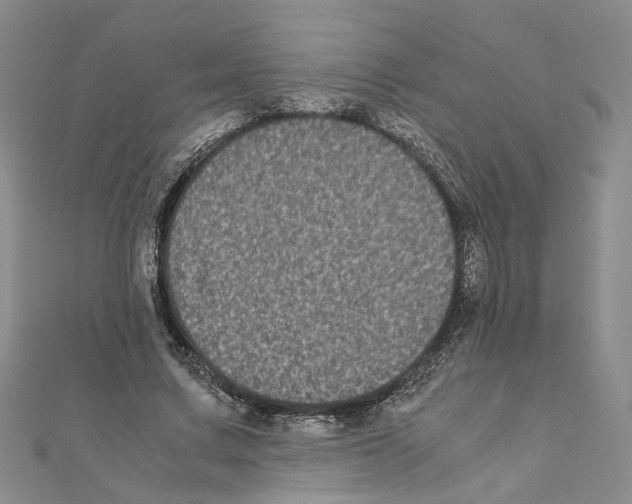 X0000111370683200908211319
