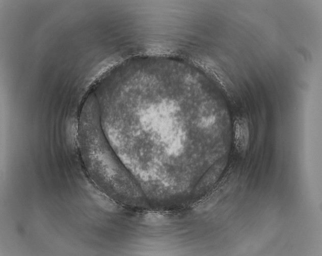 X0000111370684200908211319