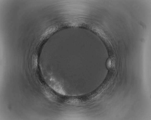 X0000111370685200908211319