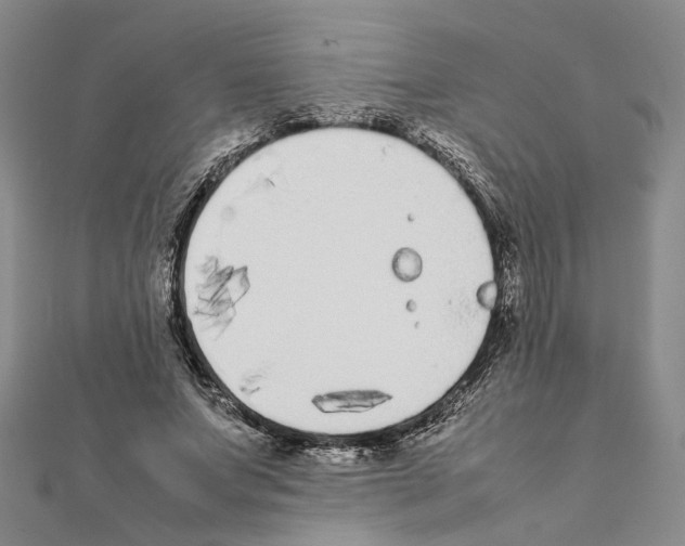 X0000111370687200908211319