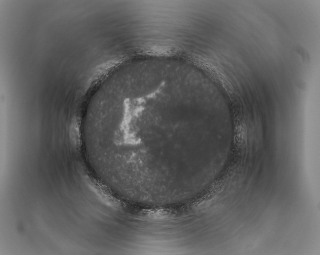 X0000111370688200908211319