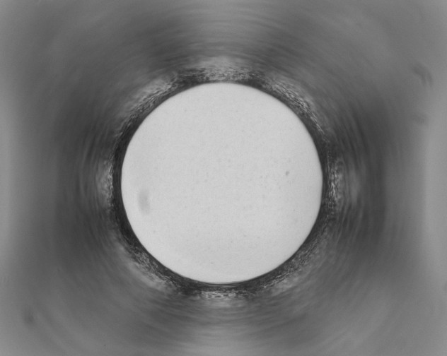 X0000111370690200908211319