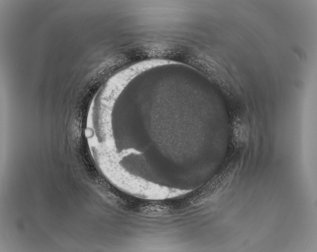 X0000111370691200908211319